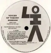 Voices Of Theory - Somehow