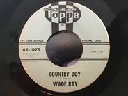 Wade Ray - Have Yourself A Party
