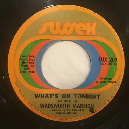 Wadsworth Mansion - Sweet Mary / What's On Tonight