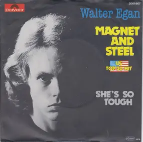 Walter Egan - Magnet And Steel