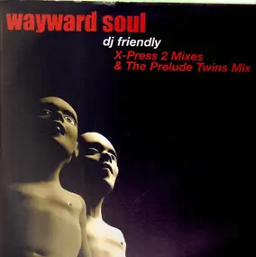 Wayward Soul - DJ Friendly