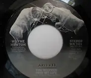 Wayne Newton - You Stepped Into My Life