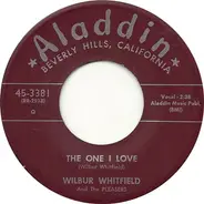 Wilbur Whitfield And The Pleasers - P. B. Baby