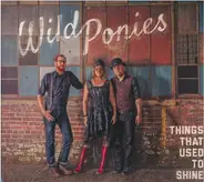 Wild Ponies - Things That Used To Shine