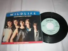 The Wildlife - Somewhere In The Night