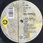 12inch Vinyl Single - Will Downing - The Remix E.P.