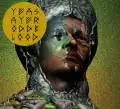 LP & CD - Yeasayer - Odd Blood