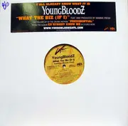 12inch Vinyl Single - YoungBloodZ feat. Mannie Fresh - What Tha Biz (If I)