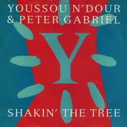Youssou N'Dour & Peter Gabriel - Shakin' The Tree