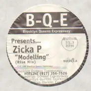 Zicka P - Modelling