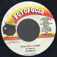 Zumjay / Aisha Davis - Feeling Good / Get It On