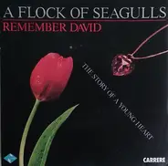 A Flock Of Seagulls - Remember David