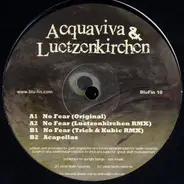 Acquaviva & Luetzenkirchen, John Acquaviva & Tobias Lützenkirchen - No Fear