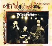 Abi Wallenstein & Blues Culture Featuring Steve Baker & Martin Röttger - Blues Culture