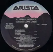 12'' - Alison Limerick - Where Love Lives