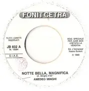 Amedeo Minghi / Nek - Notte Bella, Magnifica / In Te