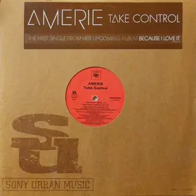 Amerie - Take Control