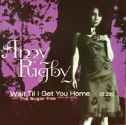 Amy Rigby - Wait Til I Get You Home