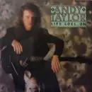 7inch Vinyl Single - Andy Taylor - Life Goes On