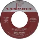 7inch Vinyl Single - Andy Williams - Canadian Sunset / High Upon A Mountain