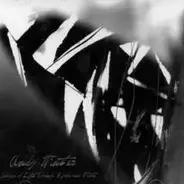 Andy Winter - Shades Of Light Through Black And White