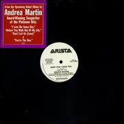 12'' - Andrea Martin - Baby Can I Hold You