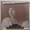 LP - Andreas Vollenweider - Behind The Gardens - Behind The Wall - Under The Tree