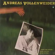 LP - Andreas Vollenweider - ...Behind The Gardens - Behind The Wall - Under The Tree... - Green Cover