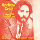 7inch Vinyl Single - Andrew Gold - How Can This Be Love