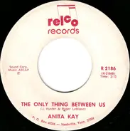 Anita Kay - Mississippi Dobro Man