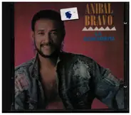 Anibal Bravo - La Comadrita
