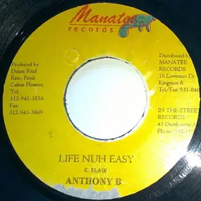 Anthony B. - Life Nuh Easy