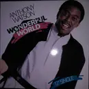 12inch Vinyl Single - Anthony Watson - Wonderful World