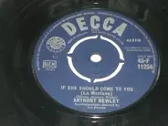 Anthony Newley - If She Should Come To You (La Montana)