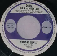 Anthony Newley - What Kind Of Fool Am I