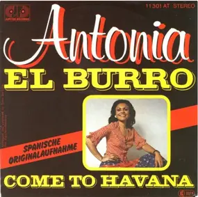 Antonia Rodriguez - El Burro