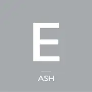 7inch Vinyl Single - ASH - E