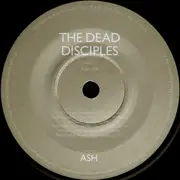 7inch Vinyl Single - Ash - E - Etched, Heavy vinyl