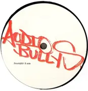 12inch Vinyl Single - Audio Bullys - We Don't Care