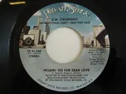 B.W. Stevenson - Holdin' on for dear Love