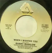 Barry Manilow - When I Wanted You