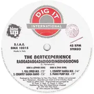 Beat Experience - Raggadaggadadiggidingdiggidong