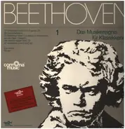 Beethoven / Eva Ander - Eroica-Variationen / La Stessa, La Stessimissima