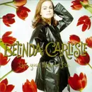 LP - Belinda Carlisle - Live Your Life Be Free