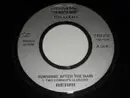 7inch Vinyl Single - BERRi - Sunshine After The Rain