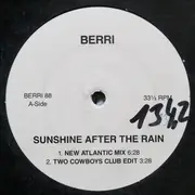 12inch Vinyl Single - BERRi - Sunshine After The Rain