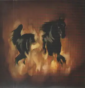 the besnard lakes - Are The Dark Horse