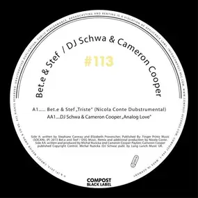 DJ Schwa - Triste / Analog Love