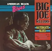 Big Joe Williams - Watergate Blues