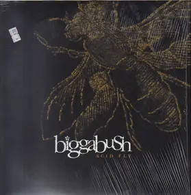 BiggaBush - Acid Fly